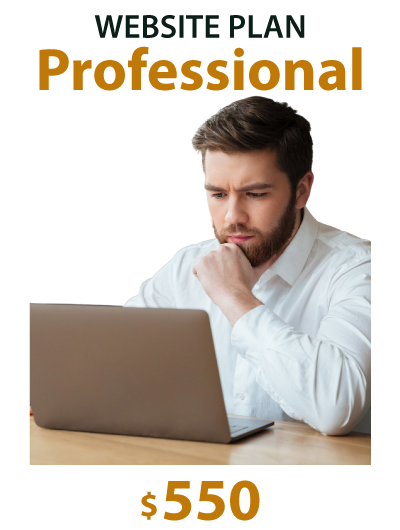 professional